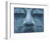 Great Buddha Kotokuii, Kamakura, Japan-Rob Tilley-Framed Photographic Print