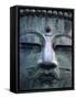 Great Buddha Statue, Kamakura, Daibutsu, Kanto, Japan-Steve Vidler-Framed Stretched Canvas