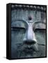 Great Buddha Statue, Kamakura, Daibutsu, Kanto, Japan-Steve Vidler-Framed Stretched Canvas