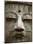 Great Buddha Statue, Kamakura, Daibutsu, Kanto, Japan-Steve Vidler-Mounted Photographic Print