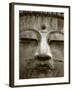 Great Buddha Statue, Kamakura, Daibutsu, Kanto, Japan-Steve Vidler-Framed Photographic Print