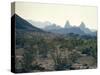 Great Chihuahua Desert with Chisos Mountains and Mt Amory at Big Bend National Park-Ralph Crane-Stretched Canvas