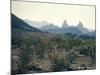 Great Chihuahua Desert with Chisos Mountains and Mt Amory at Big Bend National Park-Ralph Crane-Mounted Photographic Print