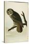 Great Cinereous Owl, from 'The Birds of America'-John James Audubon-Stretched Canvas