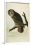 Great Cinereous Owl, from 'The Birds of America'-John James Audubon-Framed Giclee Print