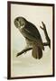 Great Cinereous Owl, from 'The Birds of America'-John James Audubon-Framed Giclee Print