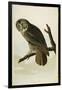 Great Cinereous Owl, from 'The Birds of America'-John James Audubon-Framed Giclee Print