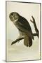 Great Cinereous Owl, from 'The Birds of America'-John James Audubon-Mounted Giclee Print