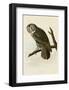 Great Cinereous Owl-John James Audubon-Framed Art Print