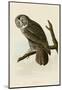 Great Cinereous Owl-John James Audubon-Mounted Art Print