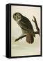 Great Cinereous Owl-John James Audubon-Framed Stretched Canvas