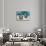 Great Clams-Reinhard Dirscherl-Stretched Canvas displayed on a wall