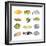 Great Collection of a Tropical Fish on a White Background.-Kletr-Framed Premium Photographic Print