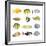 Great Collection of a Tropical Fish on a White Background.-Kletr-Framed Photographic Print