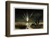 Great Comet of 1861, Artwork-Detlev Van Ravenswaay-Framed Photographic Print