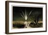 Great Comet of 1861, Artwork-Detlev Van Ravenswaay-Framed Photographic Print