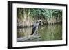 Great Cormorant (Phalacrocorax Carbo) Juvenile-Mark Doherty-Framed Photographic Print