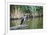 Great Cormorant (Phalacrocorax Carbo) Juvenile-Mark Doherty-Framed Photographic Print