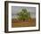 Great Cottonwood Tree in Kansas Flint Hills-Michael Scheufler-Framed Photographic Print