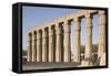 Great Court of Ramesses Ii-Philip Craven-Framed Stretched Canvas