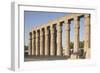 Great Court of Ramesses Ii-Philip Craven-Framed Photographic Print