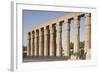 Great Court of Ramesses Ii-Philip Craven-Framed Photographic Print