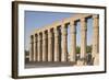 Great Court of Ramesses Ii-Philip Craven-Framed Photographic Print