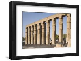 Great Court of Ramesses Ii-Philip Craven-Framed Photographic Print