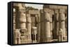 Great Court of Ramses Ii, Luxor Temple, Luxor, Thebes, Egypt, North Africa, Africa-Tony Waltham-Framed Stretched Canvas