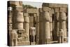 Great Court of Ramses Ii, Luxor Temple, Luxor, Thebes, Egypt, North Africa, Africa-Tony Waltham-Stretched Canvas