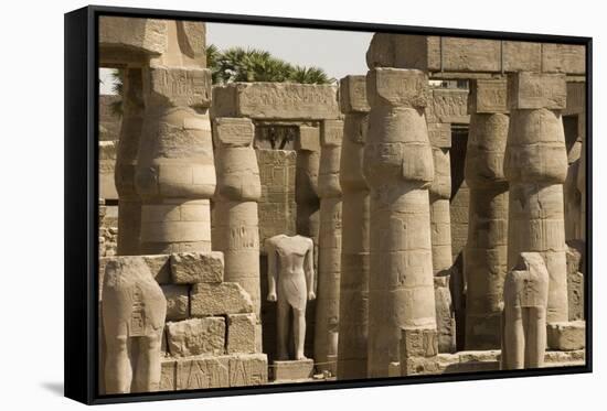 Great Court of Ramses Ii, Luxor Temple, Luxor, Thebes, Egypt, North Africa, Africa-Tony Waltham-Framed Stretched Canvas