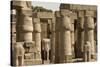 Great Court of Ramses Ii, Luxor Temple, Luxor, Thebes, Egypt, North Africa, Africa-Tony Waltham-Stretched Canvas