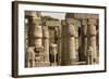 Great Court of Ramses Ii, Luxor Temple, Luxor, Thebes, Egypt, North Africa, Africa-Tony Waltham-Framed Photographic Print
