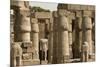 Great Court of Ramses Ii, Luxor Temple, Luxor, Thebes, Egypt, North Africa, Africa-Tony Waltham-Mounted Photographic Print