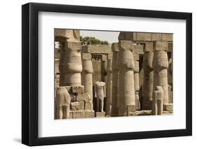 Great Court of Ramses Ii, Luxor Temple, Luxor, Thebes, Egypt, North Africa, Africa-Tony Waltham-Framed Photographic Print