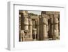 Great Court of Ramses Ii, Luxor Temple, Luxor, Thebes, Egypt, North Africa, Africa-Tony Waltham-Framed Photographic Print