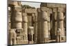 Great Court of Ramses Ii, Luxor Temple, Luxor, Thebes, Egypt, North Africa, Africa-Tony Waltham-Mounted Photographic Print