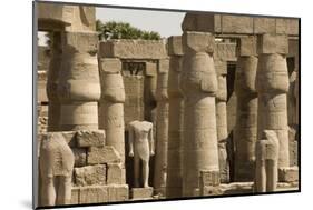 Great Court of Ramses Ii, Luxor Temple, Luxor, Thebes, Egypt, North Africa, Africa-Tony Waltham-Mounted Photographic Print