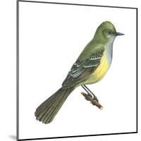 Great Crested Flycatcher (Myiarchus Crinitus), Birds-Encyclopaedia Britannica-Mounted Poster