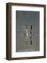 Great Crested Grebe (Podiceps Cristatus) Pair of Adults During Courtship Ritual, Derbyshire, UK-Andrew Parkinson-Framed Photographic Print