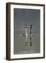 Great Crested Grebe (Podiceps Cristatus) Pair of Adults During Courtship Ritual, Derbyshire, UK-Andrew Parkinson-Framed Photographic Print