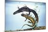Great-Crested Newt Male and Female-null-Mounted Photographic Print