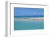 Great Crested Tern (Sterna bergii) and Common Noddy (Anous stolidus) flock, Great Barrier Reef-David Hosking-Framed Photographic Print