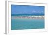 Great Crested Tern (Sterna bergii) and Common Noddy (Anous stolidus) flock, Great Barrier Reef-David Hosking-Framed Photographic Print