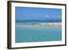 Great Crested Tern (Sterna bergii) and Common Noddy (Anous stolidus) flock, Great Barrier Reef-David Hosking-Framed Photographic Print