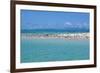 Great Crested Tern (Sterna bergii) and Common Noddy (Anous stolidus) flock, Great Barrier Reef-David Hosking-Framed Photographic Print