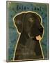 Great Dane (Black, no crop)-John W^ Golden-Mounted Art Print