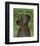 Great Dane (Blue, no crop)-John W^ Golden-Framed Art Print