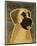 Great Dane (Fawn, no crop)-John W^ Golden-Mounted Art Print