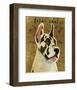 Great Dane (Harlequin)-John W^ Golden-Framed Art Print